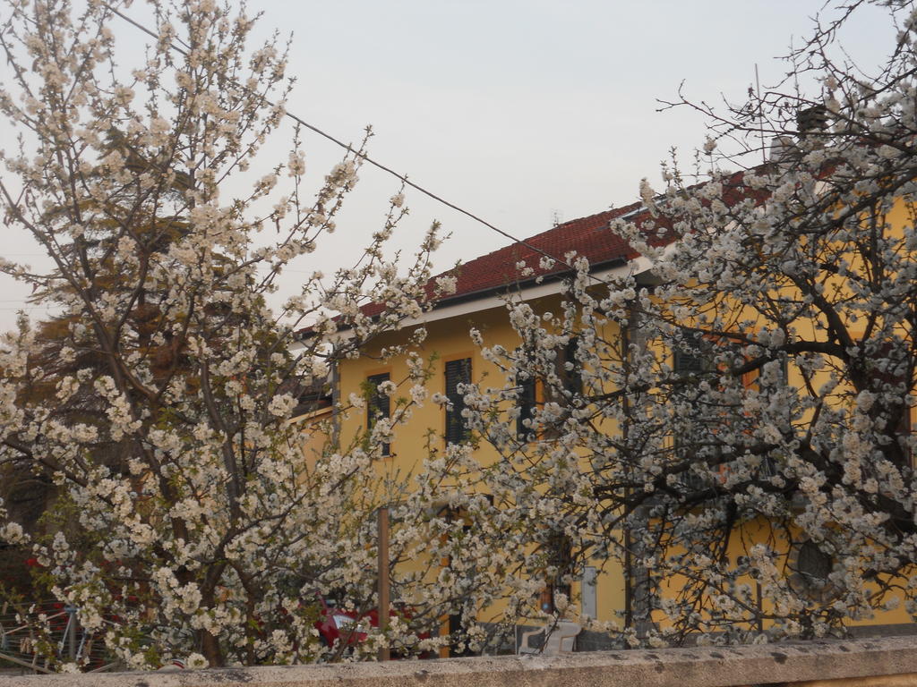B&B Pervinca Rocca Grimalda Ngoại thất bức ảnh