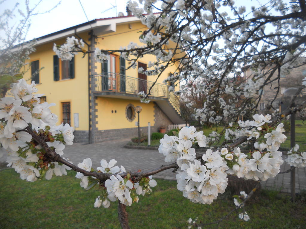 B&B Pervinca Rocca Grimalda Ngoại thất bức ảnh